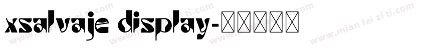 xsalvaje display字体转换